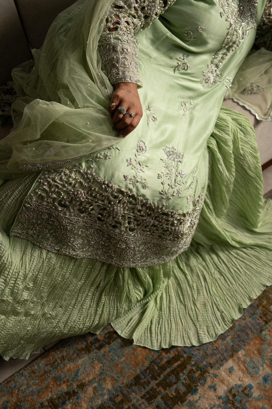 Zinnia in lace