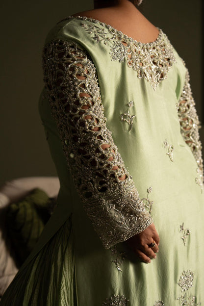 Zinnia in lace
